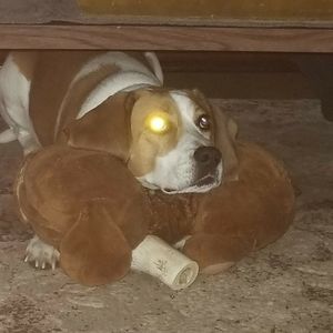 Meet your Posher, Randy